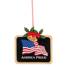 America Proud - Coming Soon